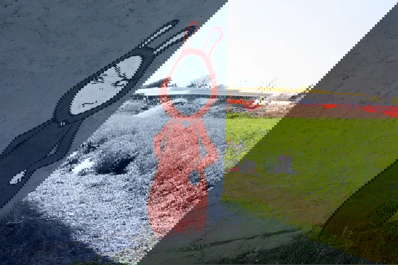 Graffiti Wall in Brescia - Photo by OFELIA - brescia, ofelia (2012)