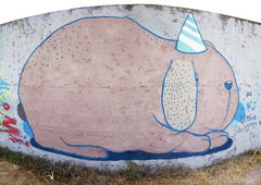 Photo #46975 by TagHagel