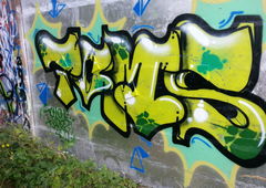 Photo #31134 by FEASTSFK