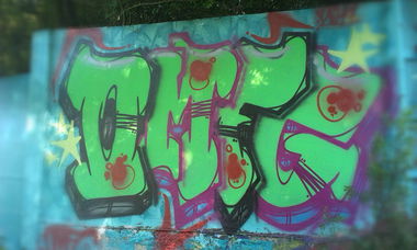 Graffiti Wall - Photo by OKG - LITLE, BITCHES, :) (2014)
