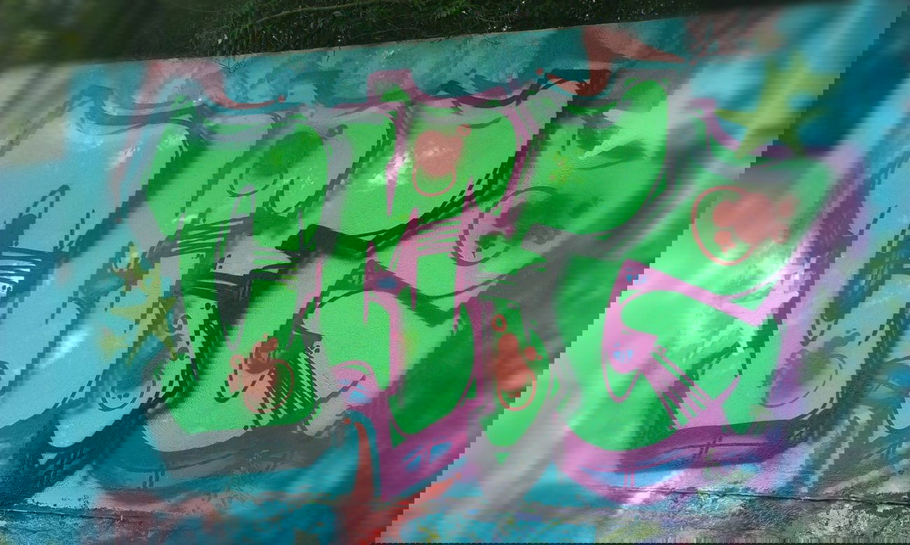 Graffiti Wall - Photo by OKG - LITLE, BITCHES, :) (2014)