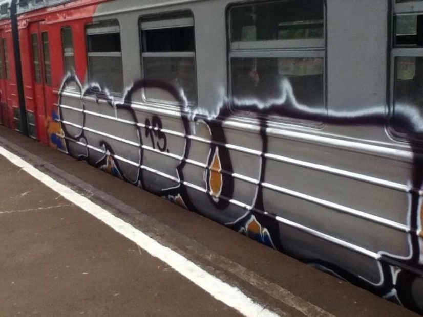 Graffiti Train - Photo by OMERCK (2013)
