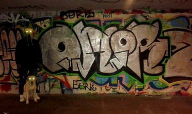 Graffiti Bombing - Photo by OMoR - omor, fbc, hof (2013)