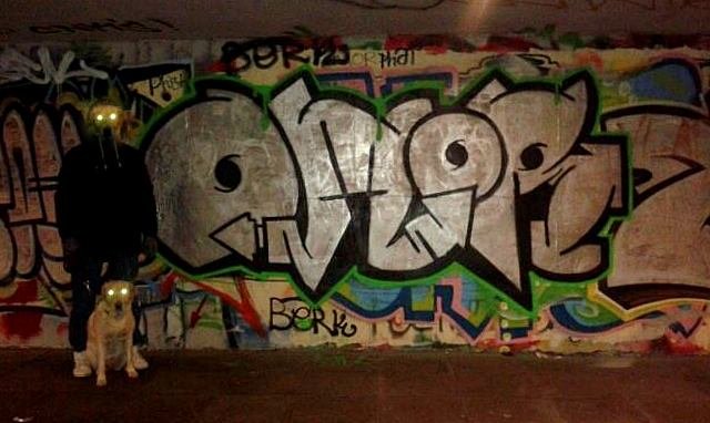 Graffiti Bombing - Photo by OMoR - omor, fbc, hof (2013)