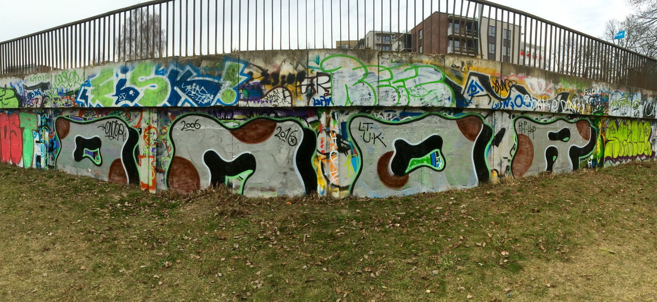 Graffiti Photo by OMoR - Omor, chrome, silver (2016)