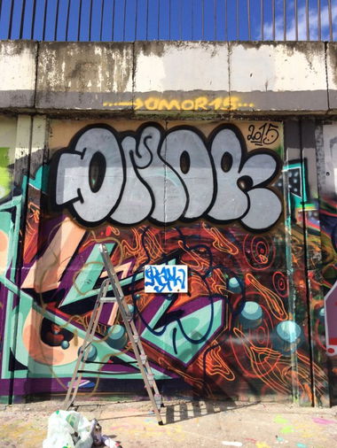 Graffiti Bombing - Photo by OMoR - omor, top, hof (2015)