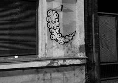 Photo #196031 by zwolli