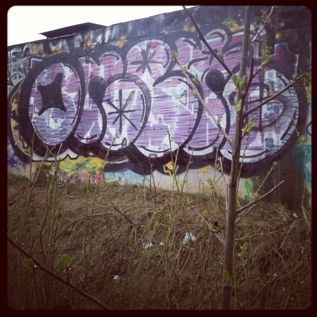 Graffiti Bombing - Photo by ONER420