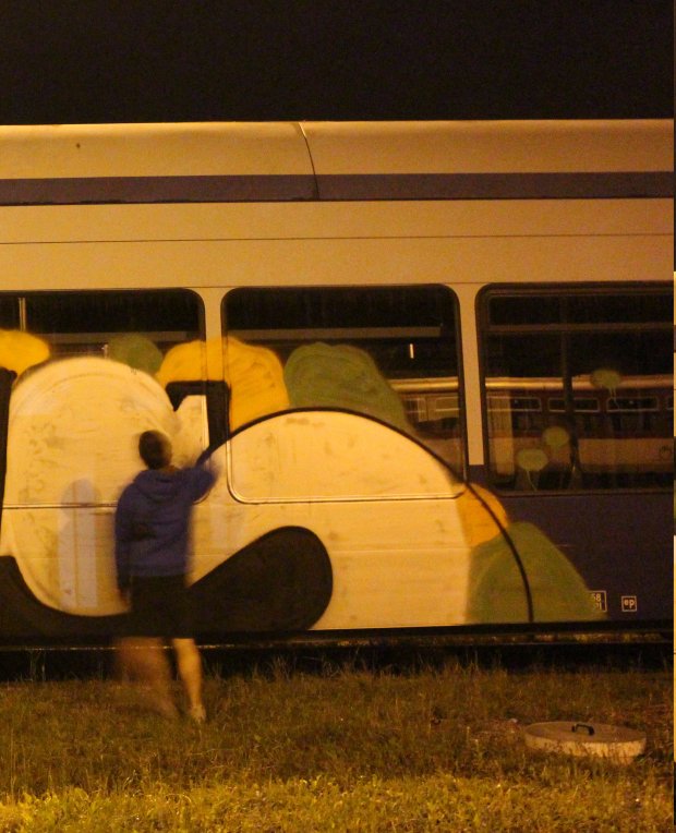 Graffiti Artwork in Poprad - Photo by OUSSCREW - S (2013)