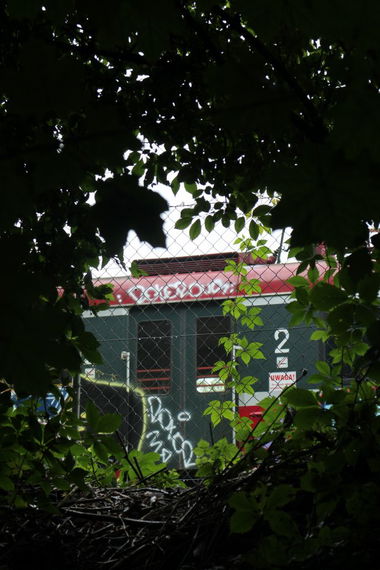 Graffiti Train in Krakow - Photo by OUSSCREW - YEA??