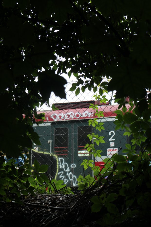 Graffiti Train in Krakow - Photo by OUSSCREW - YEA??