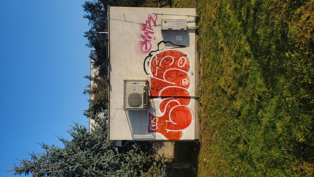 Graffiti Wall - Photo by OUSSCREW