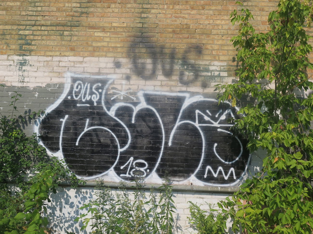 Graffiti Bombing - Photo by OUSSCREW