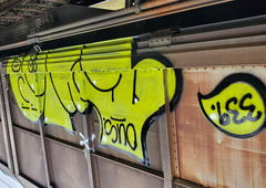 Graffiti Train - Photo by OUSSCREW