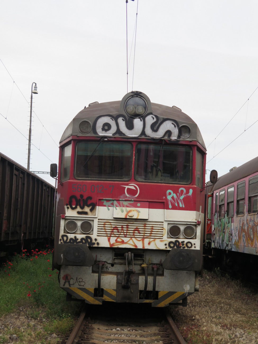 Graffiti Train - Photo by OUSSCREW - crew (2015)