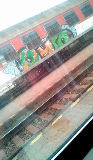 Graffiti Wall - Photo by OUSSCREW