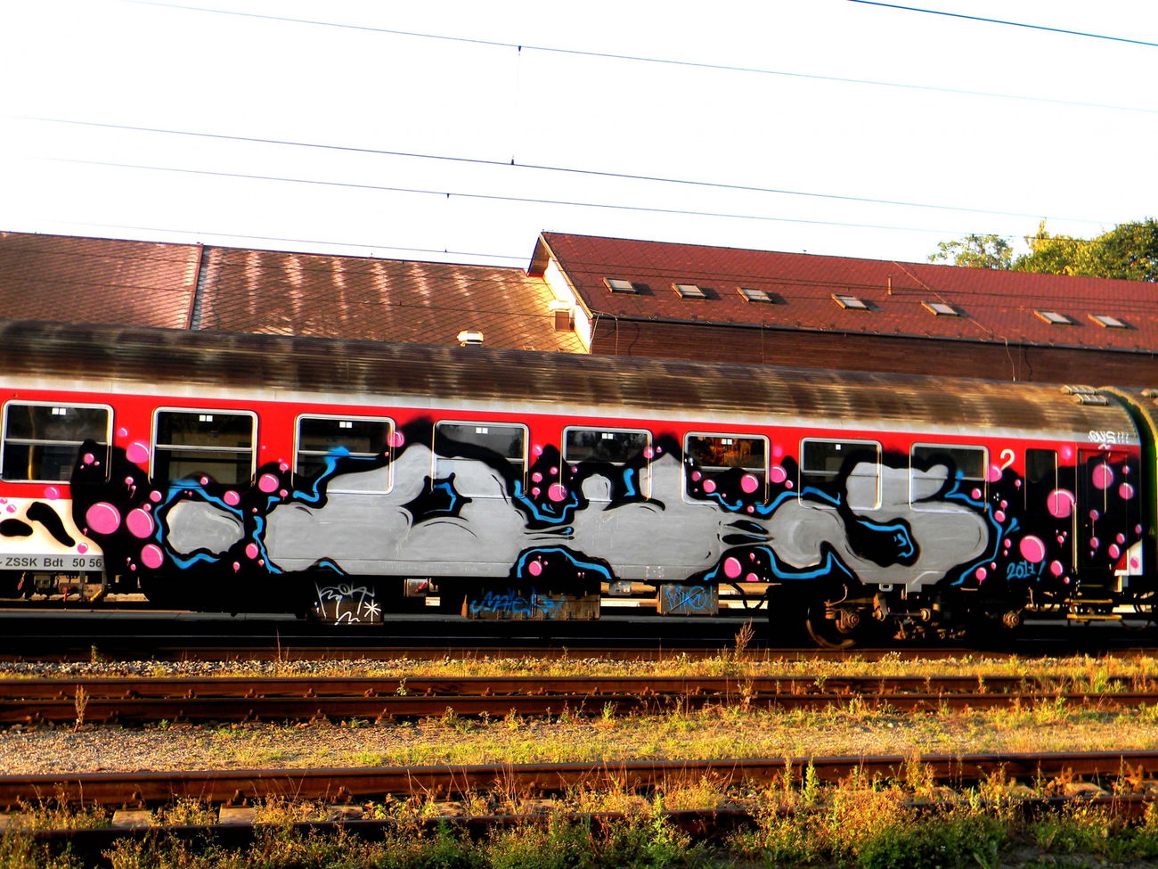 Graffiti Train - Photo by OUSSCREW
