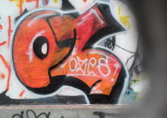 Photo #81307 by TagHagel