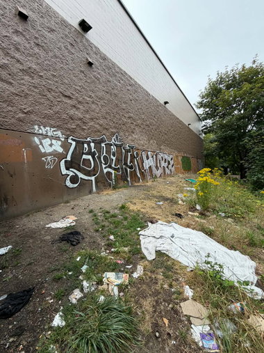 Graffiti Wall in Parkland, wa - Photo by Observer206 - bflick, hurte, lmg (2025)