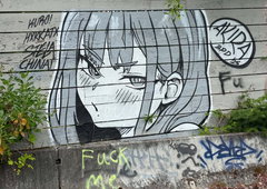 Graffiti Wall in Seatac - Photo by Observer206 - akira, bpd, seattle (2025)