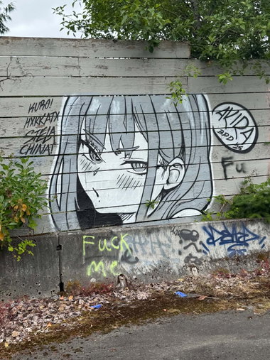 Graffiti Wall in Seatac - Photo by Observer206 - akira, bpd, seattle (2025)