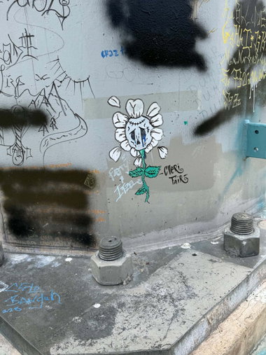 Graffiti Street Art in Kent, wa - Photo by Observer206 - cherifair, flower, seattle (2026)