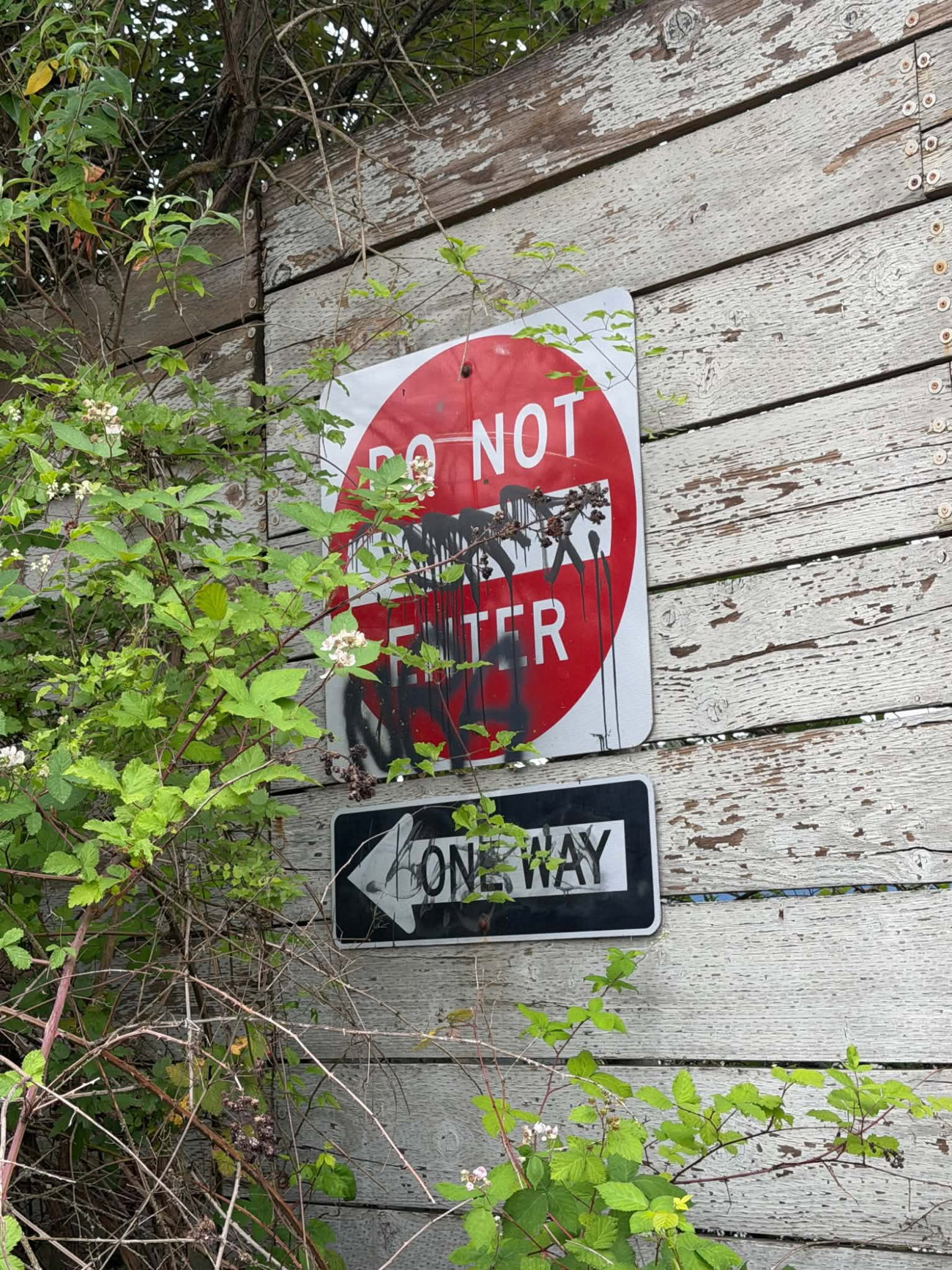 Graffiti Artwork in Seatac, wa - Photo by Observer206 - sign (2026)
