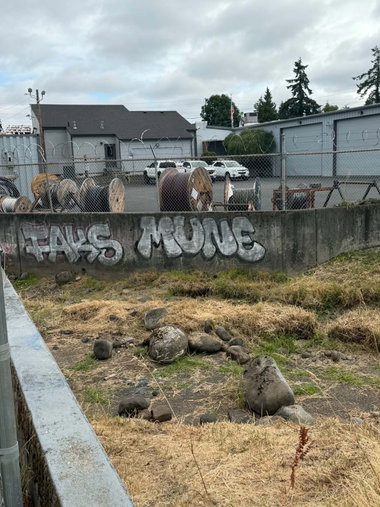 Graffiti Wall in Parkland, wa - Photo by Observer206 - faks, mune, tacoma