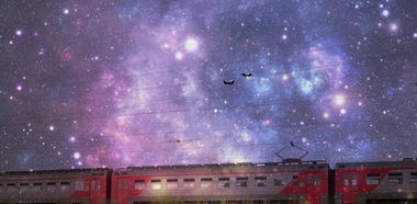 Graffiti Train in Msk - Photo by OckirowSasha - dog