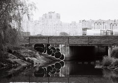 Photo #249532 by NDUCT