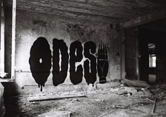 Photo #249771 by iobe1