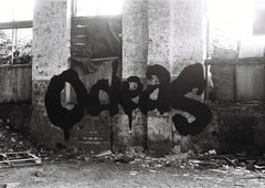 Photo #249921 by iobe1