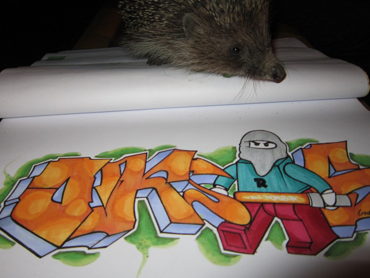 Graffiti Sketch in Kharkiv - Photo by Okrs01 - okrs (2014)