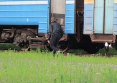 Photo #102357 by MENO