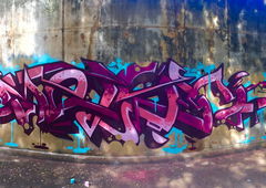 Photo #203499 by Belt