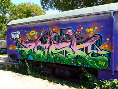 Graffiti Train in Jena - Photo by Oldschool - ZOSK79, Biber, Alina (2015)