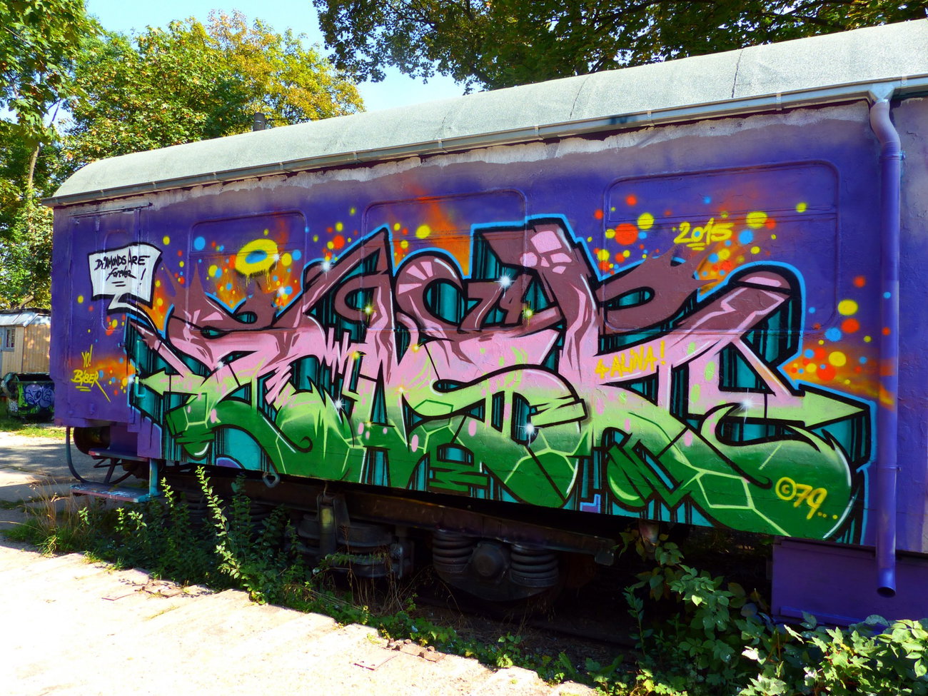 Graffiti Train in Jena - Photo by Oldschool - ZOSK79, Biber, Alina (2015)