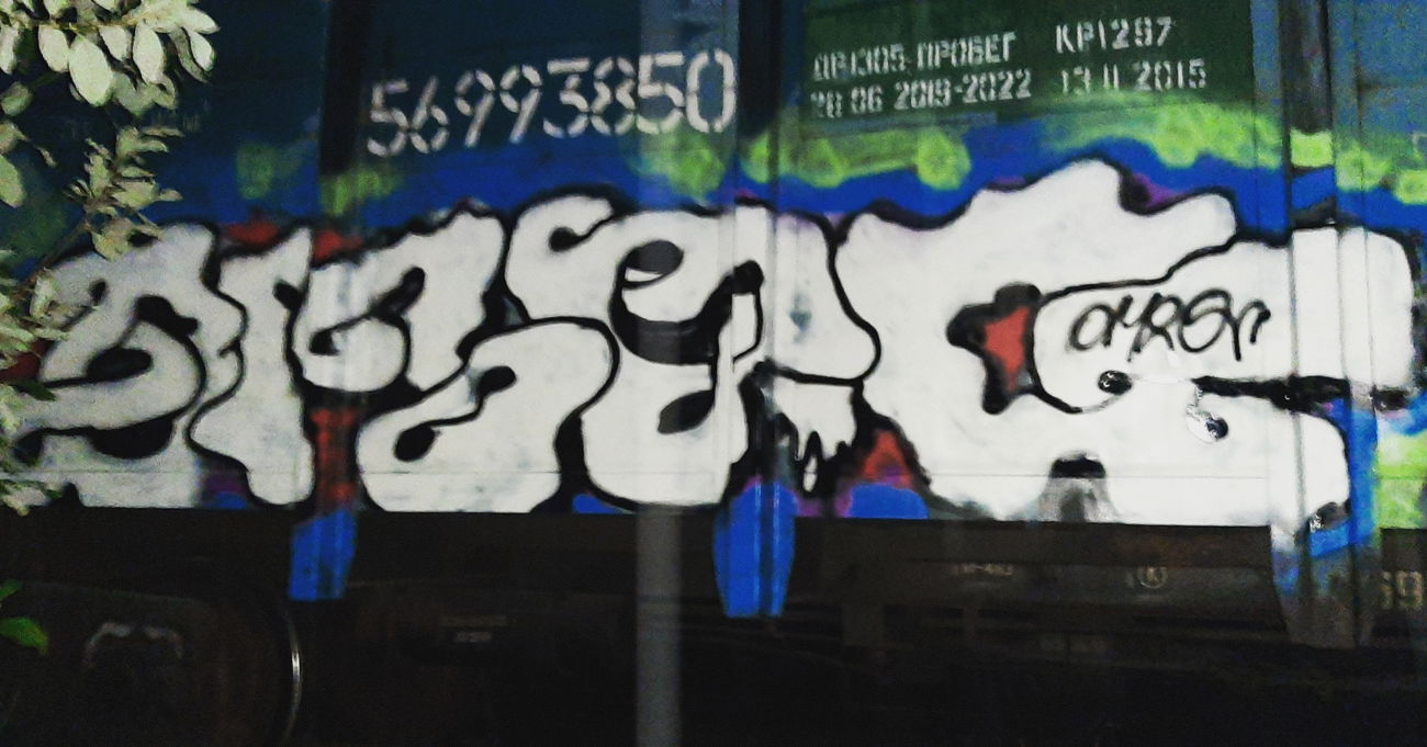 Graffiti Train - Photo by Omeqad92Ural