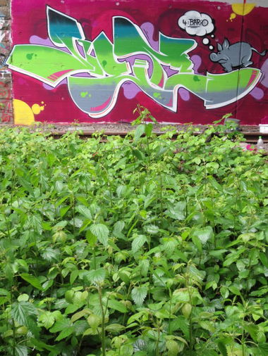 Graffiti Wall in Wuppertal - Photo by Omereno - Remo, Wuppertal (2013)