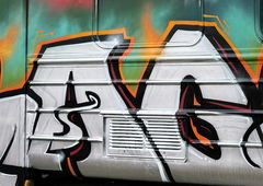 Photo #247503 by TheWallHunter