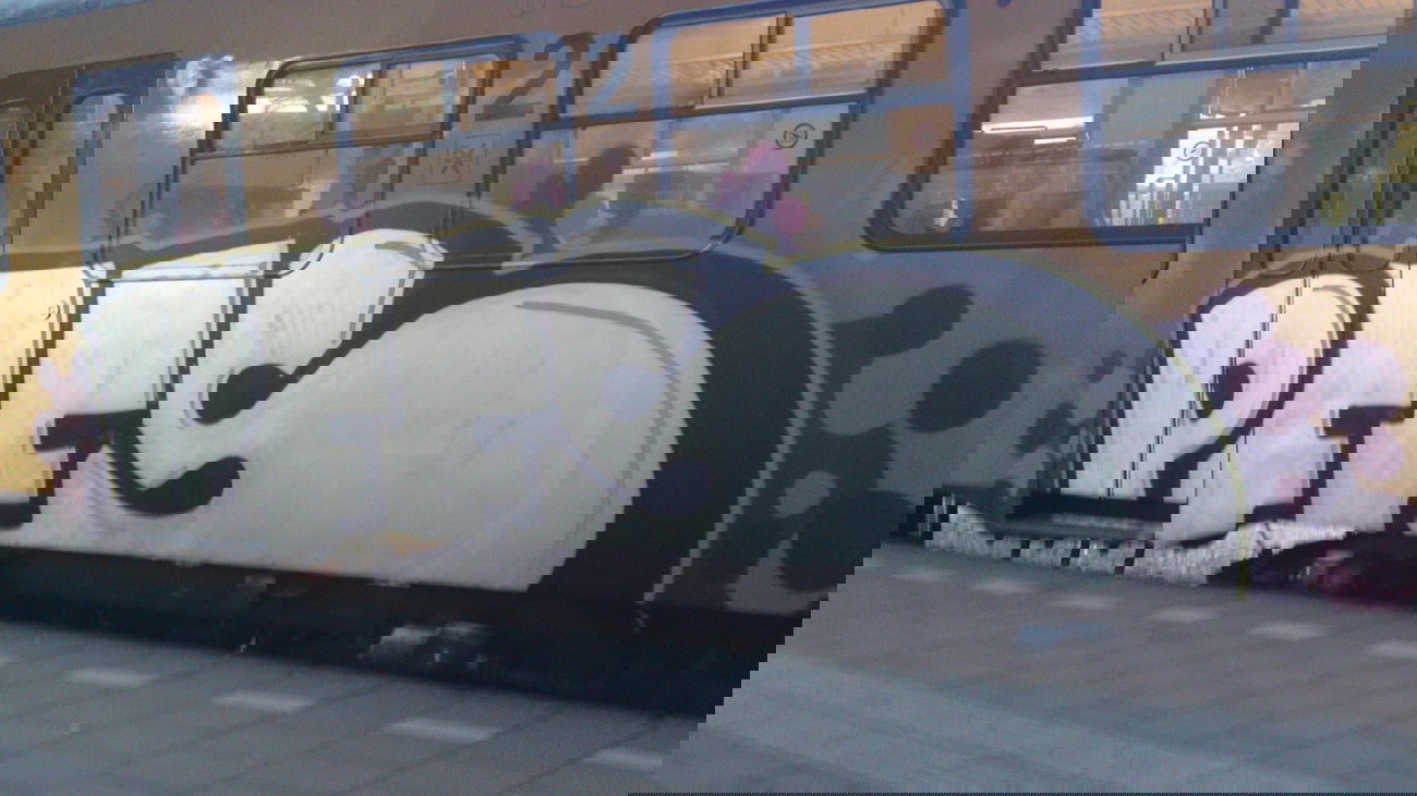 Graffiti Train - Photo by Oneleg - PFF'S, Spica (2008)