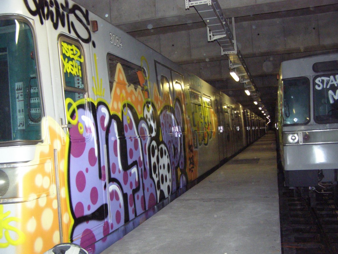 Graffiti Train in Vienna - Photo by Oneleg - Stniop, Points, HNG (2008)