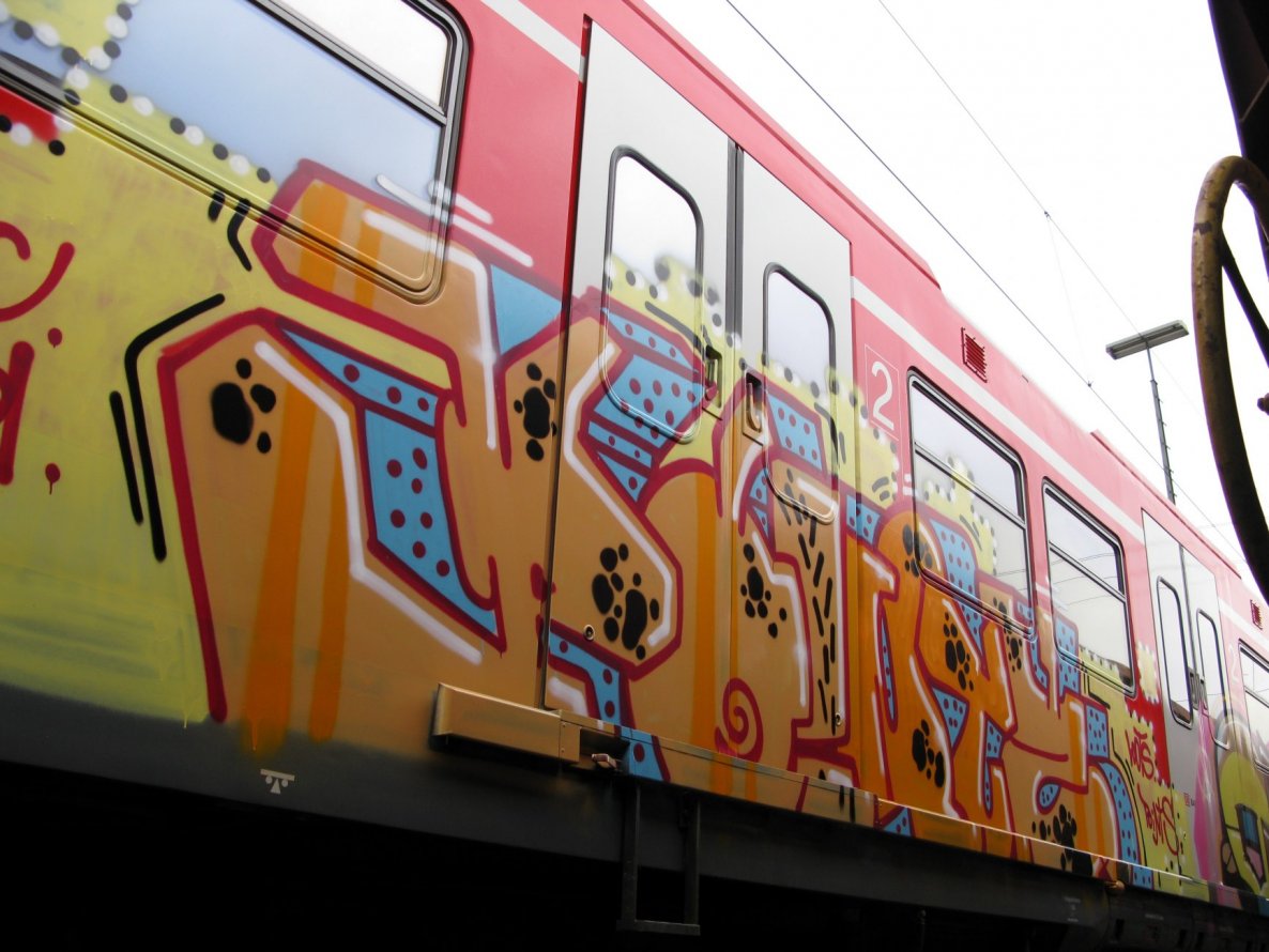 Graffiti Train in Stuttgart - Photo by Oneleg - Points, HNG (2009)