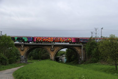 Graffiti Train in Hannover - Photo by Oneleg - Cyal (2013)