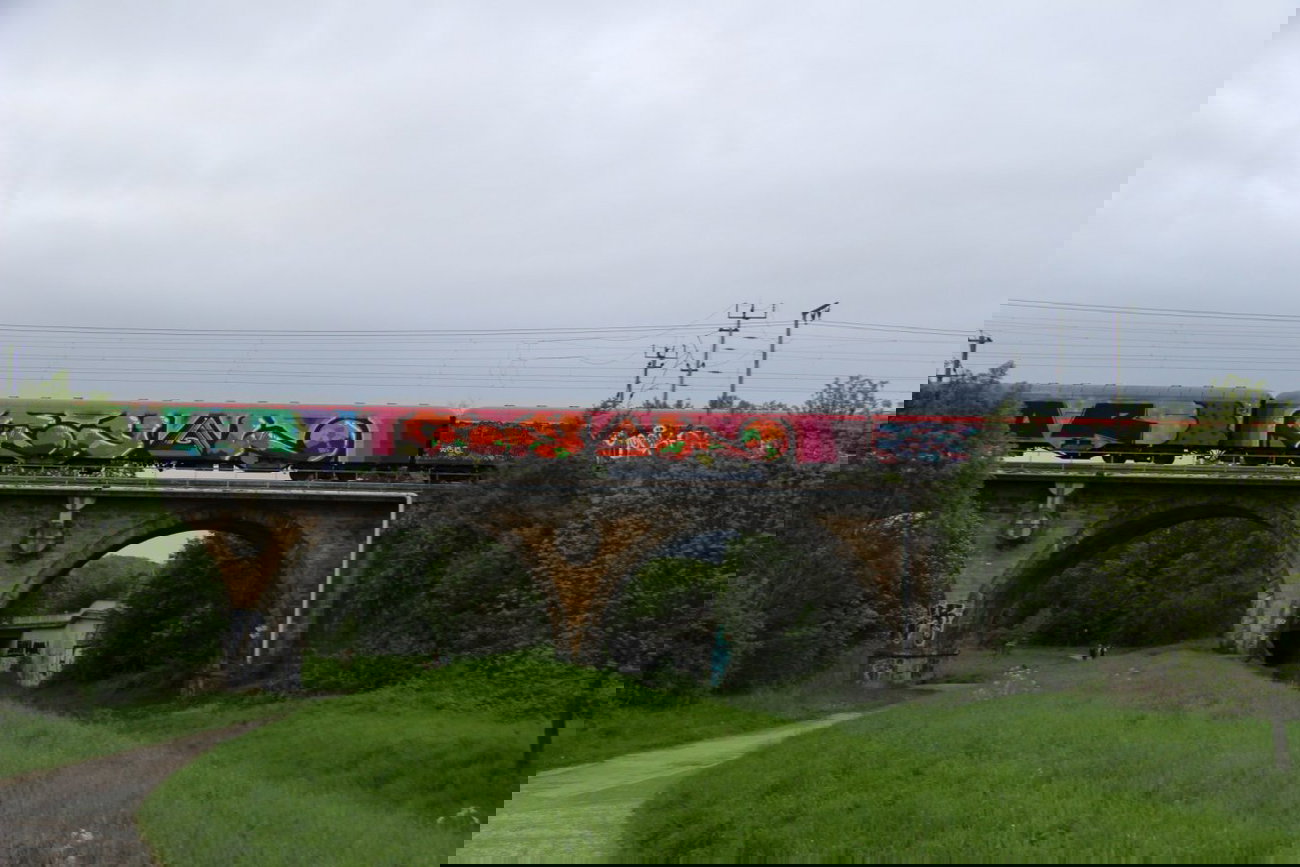 Graffiti Train in Hannover - Photo by Oneleg - Cyal (2013)