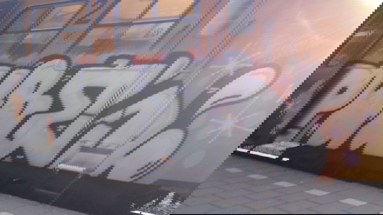 Graffiti Train in Amsterdam - Photo by Oneleg - Pubes (2008)