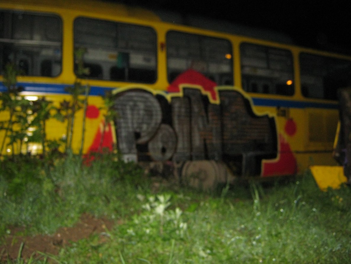 Graffiti Train in Center municipality - Photo by Oneleg - Points, HNG (2011)