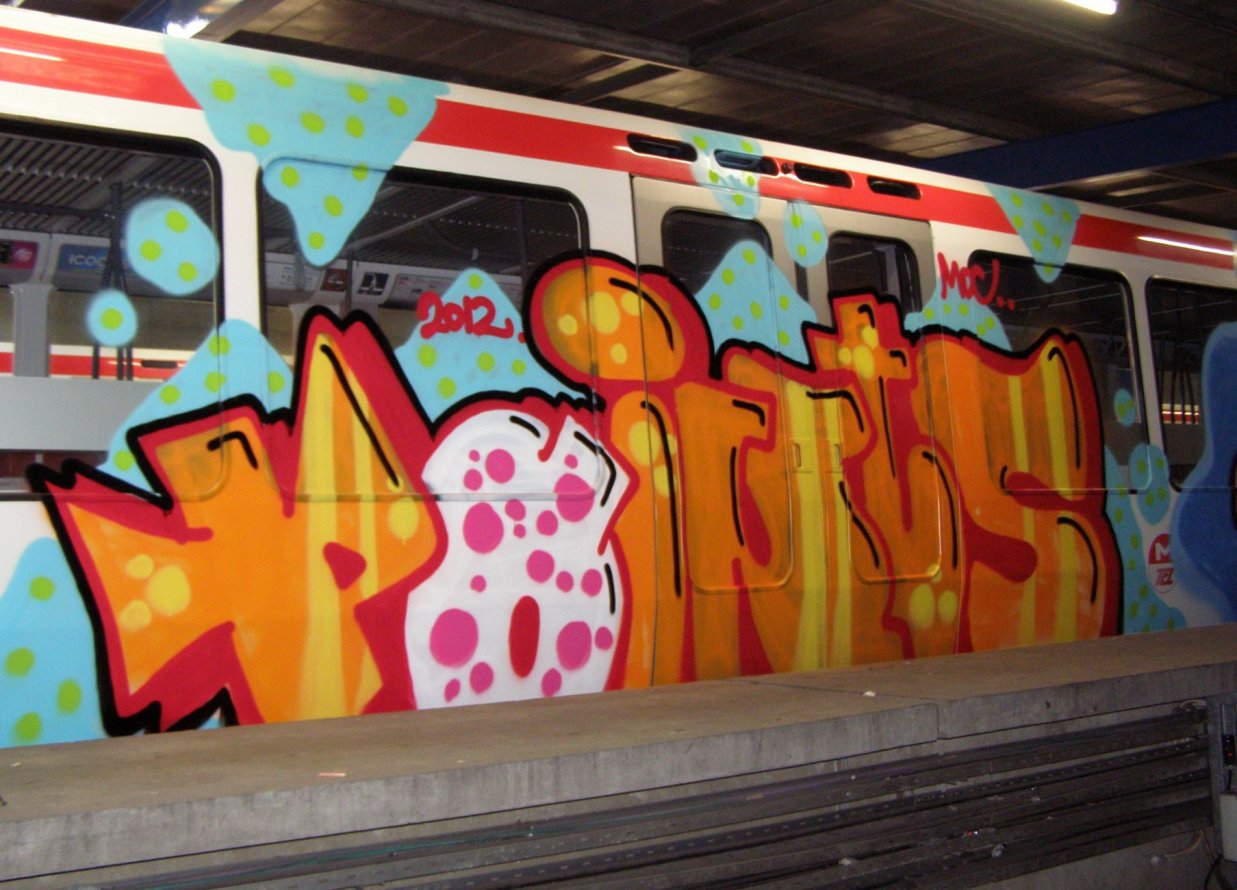 Graffiti Train in Lyon - Photo by Oneleg - Points, HNG (2012)