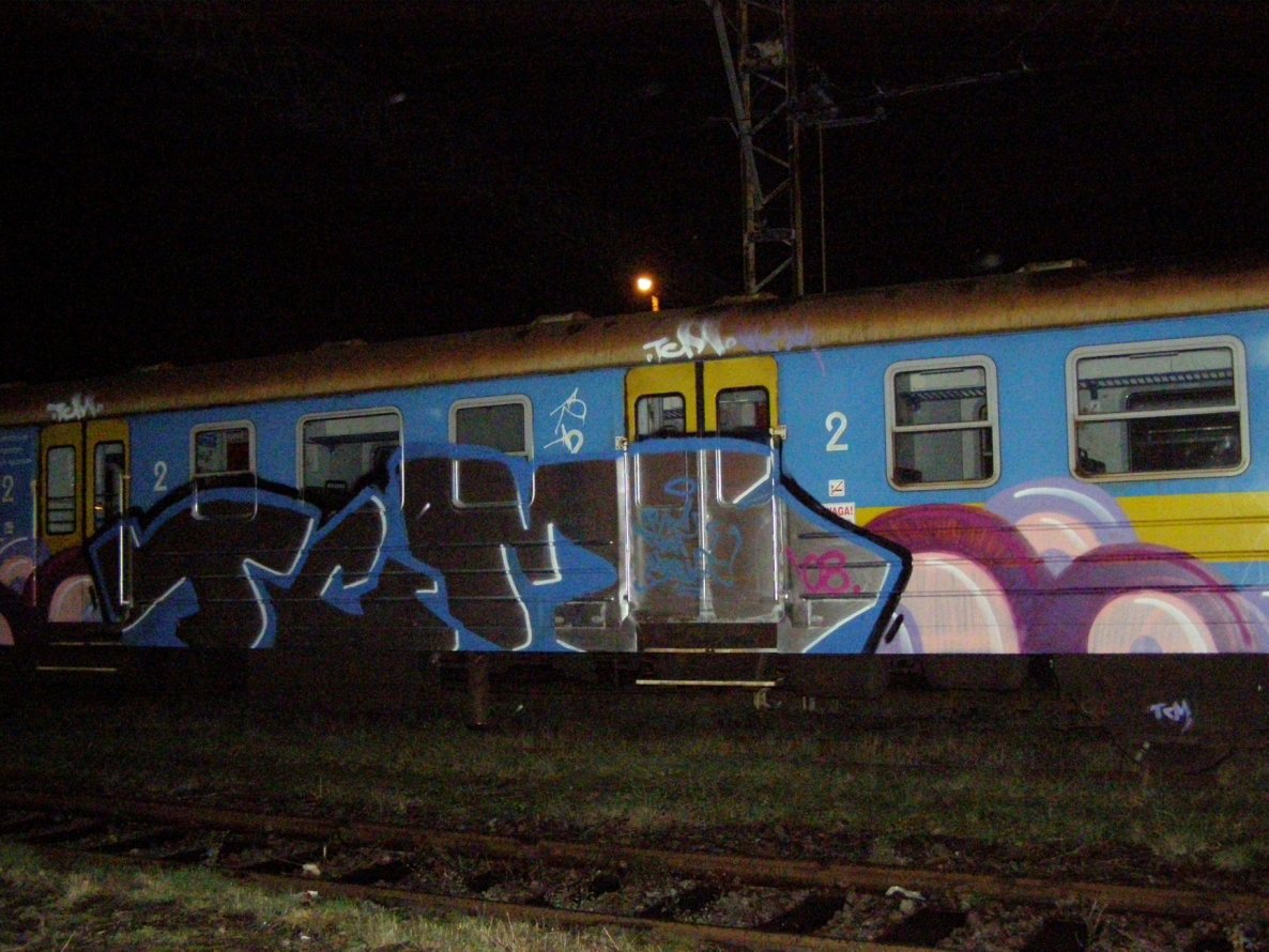 Graffiti Train in Wroc?aw - Photo by Oneleg - TCM, crew (2008)