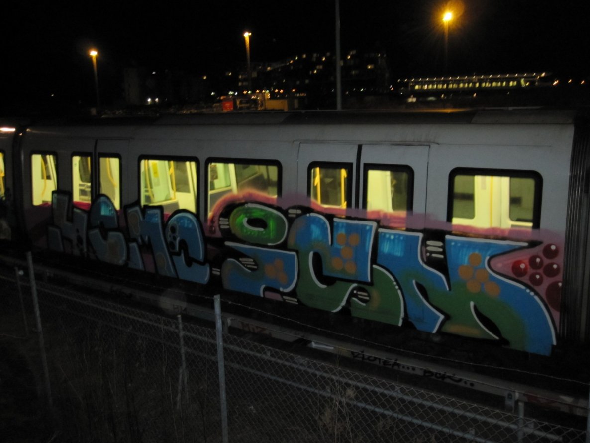 Graffiti Train in Copenhagen - Photo by Oneleg - Homo, Ism (2011)
